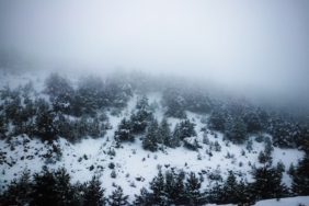 Bolu ilçeleri 1 Bolu ilçeleri