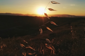 Malatya Tarihi Yerler