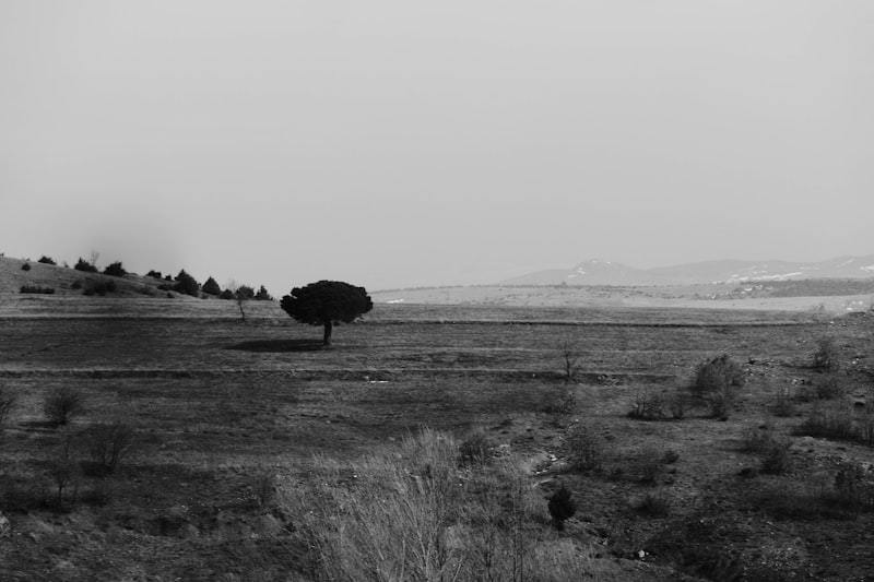 uploaded-image-tokat-tarihi-yerler-1725151242662