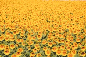 uploaded-image-yozgat-tarihi-yerler-1725154136196