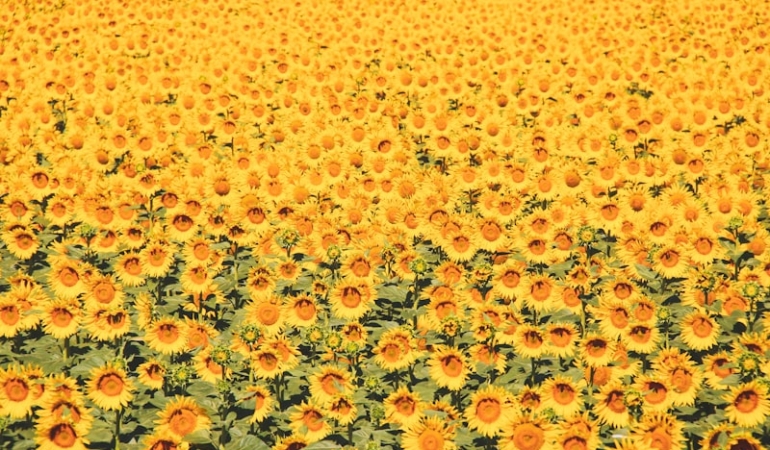 uploaded-image-yozgat-tarihi-yerler-1725154136196